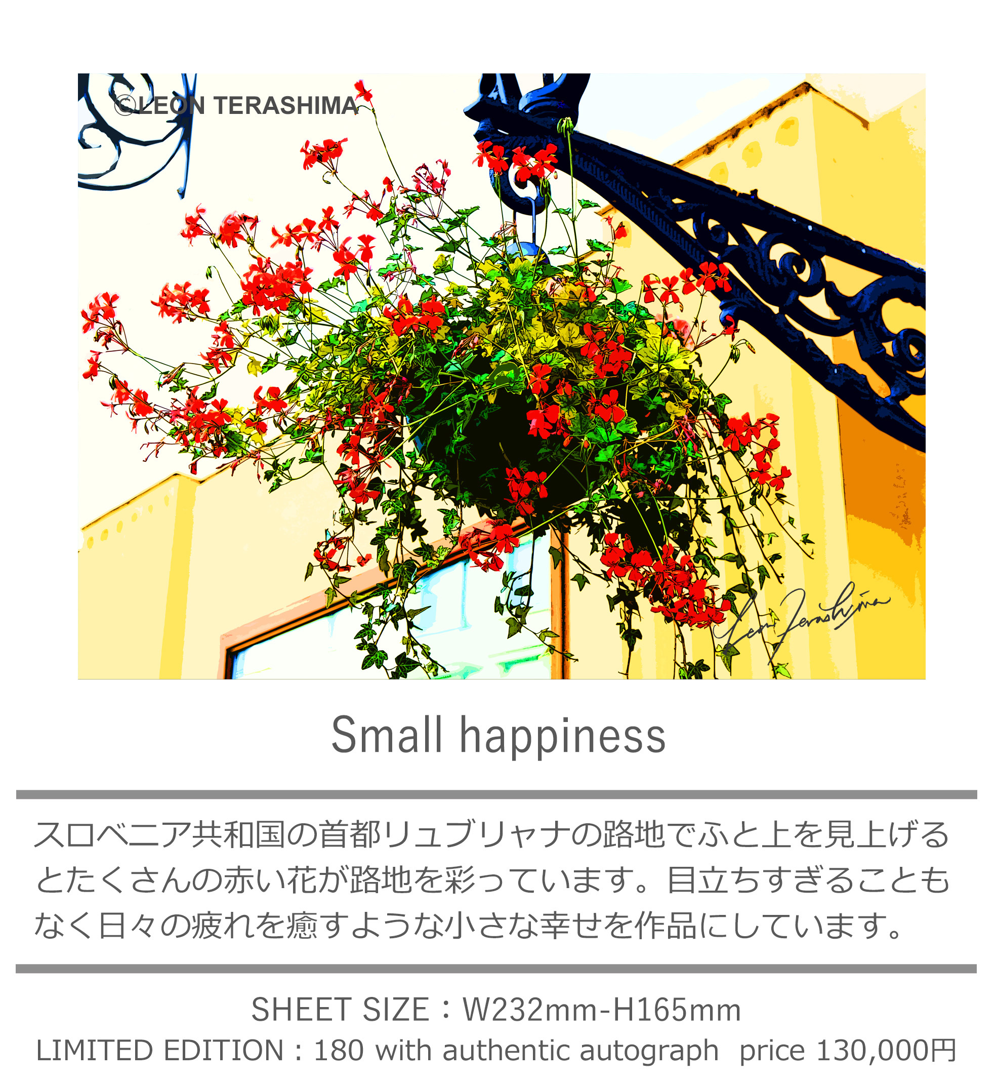 レオンテラシマ