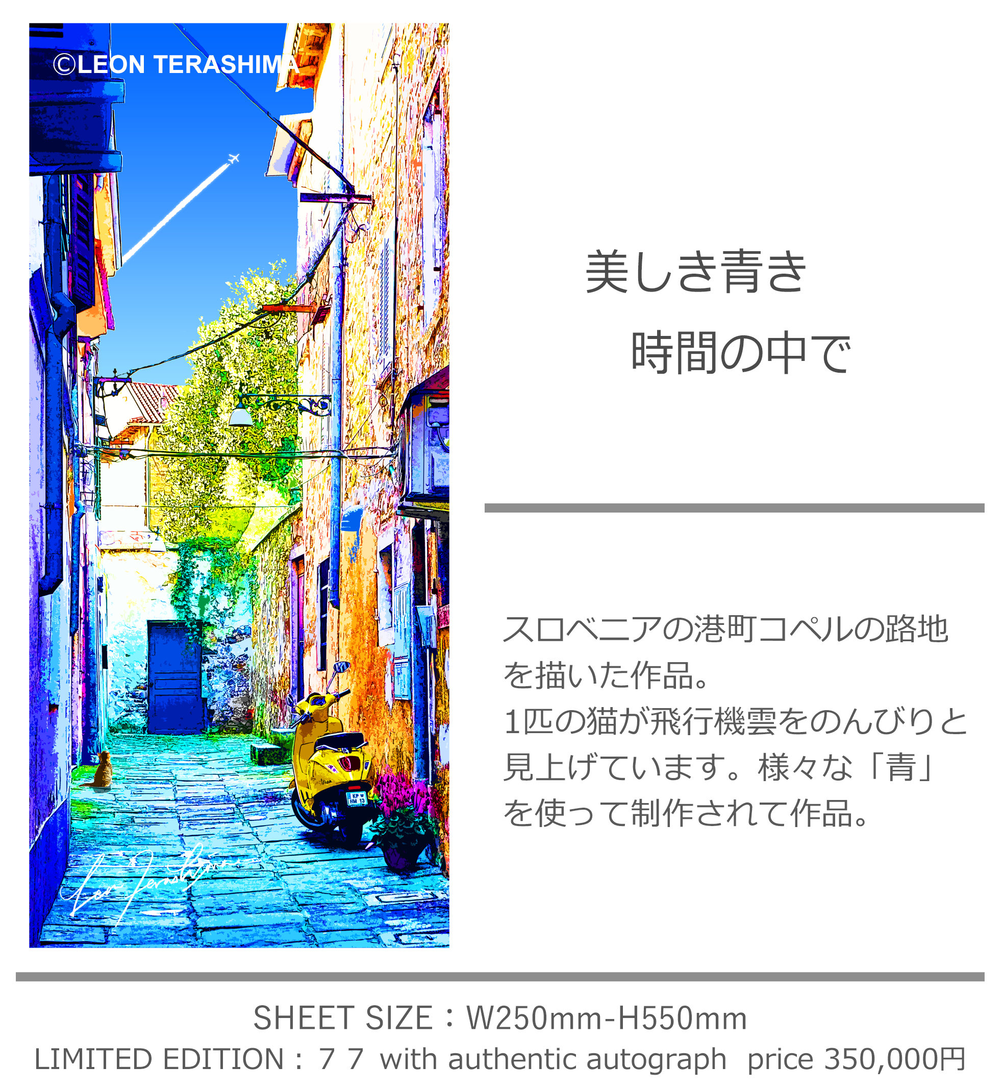 LEON TERASHIMA レオン・テラシマ　寺嶋レオン
