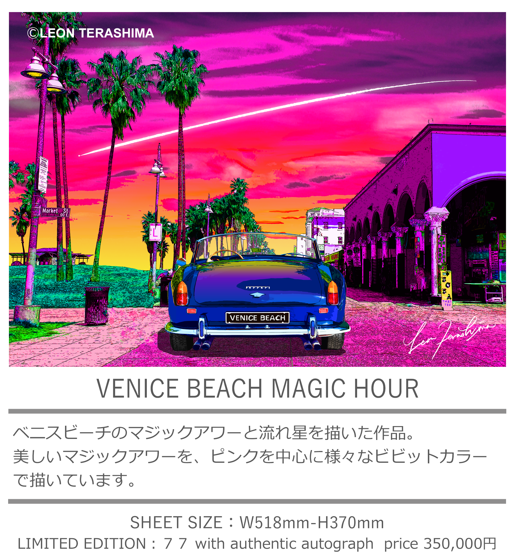 LEON TERASHIMA レオン・テラシマ　寺嶋レオン