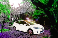 ★PRIUS 京都の朝.jpg