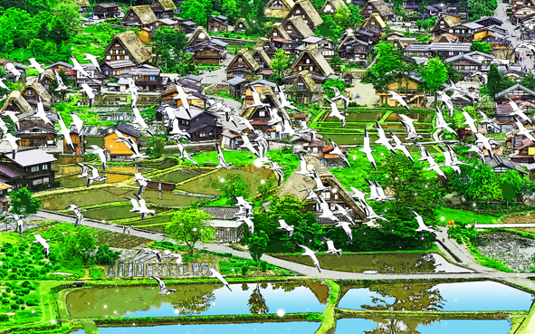TRAD JAPAN.jpg