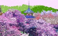 レオンテラシマ