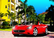 FLORIDA AM7.jpg
