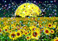 真夜中の太陽.jpg